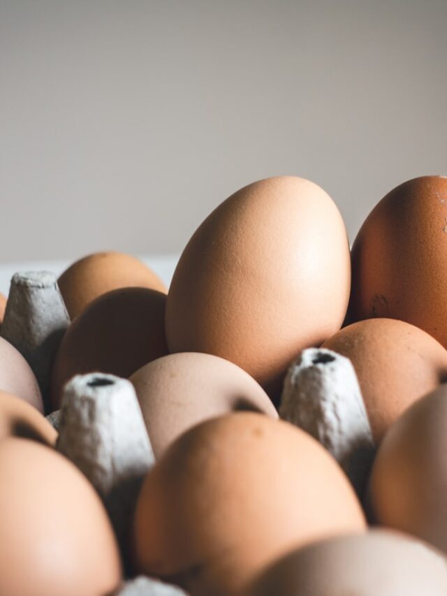 Egg or chicken which came first