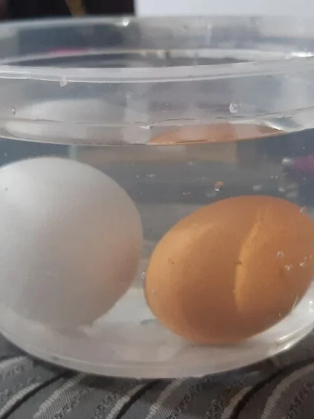 How Long to Boil an Egg