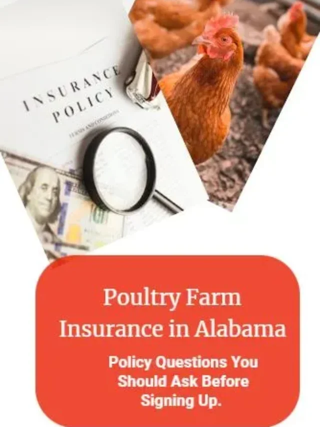 Poultry Farm Insurance Alabama Online Quotes