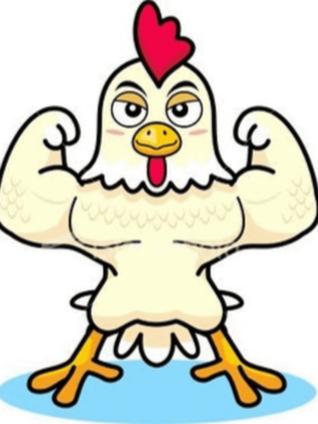 12 best helpful hacks for a successful poultry business