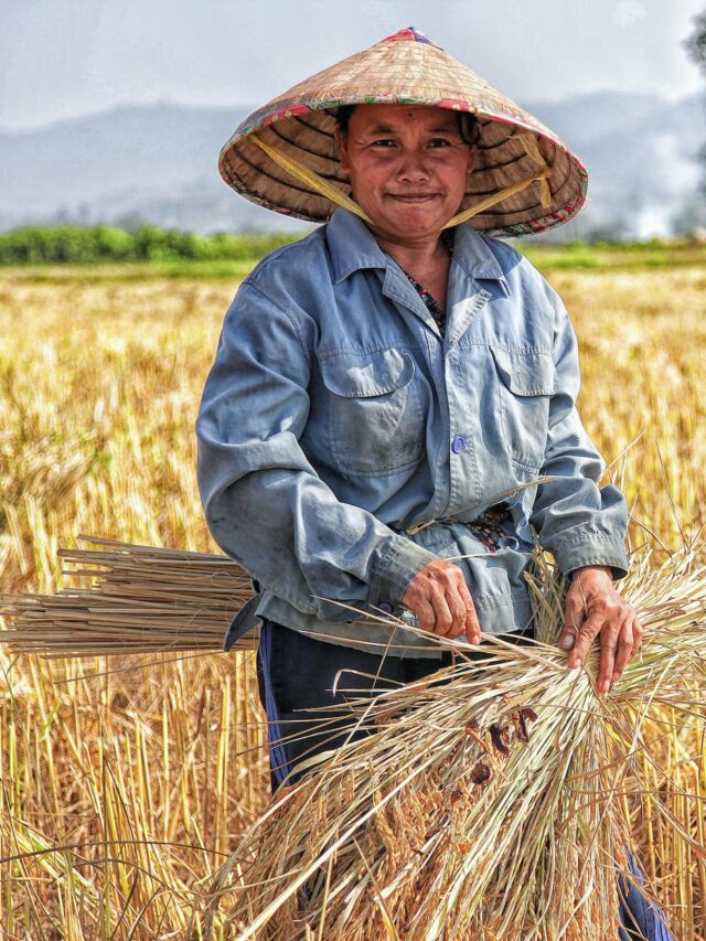 woman picking plant on field