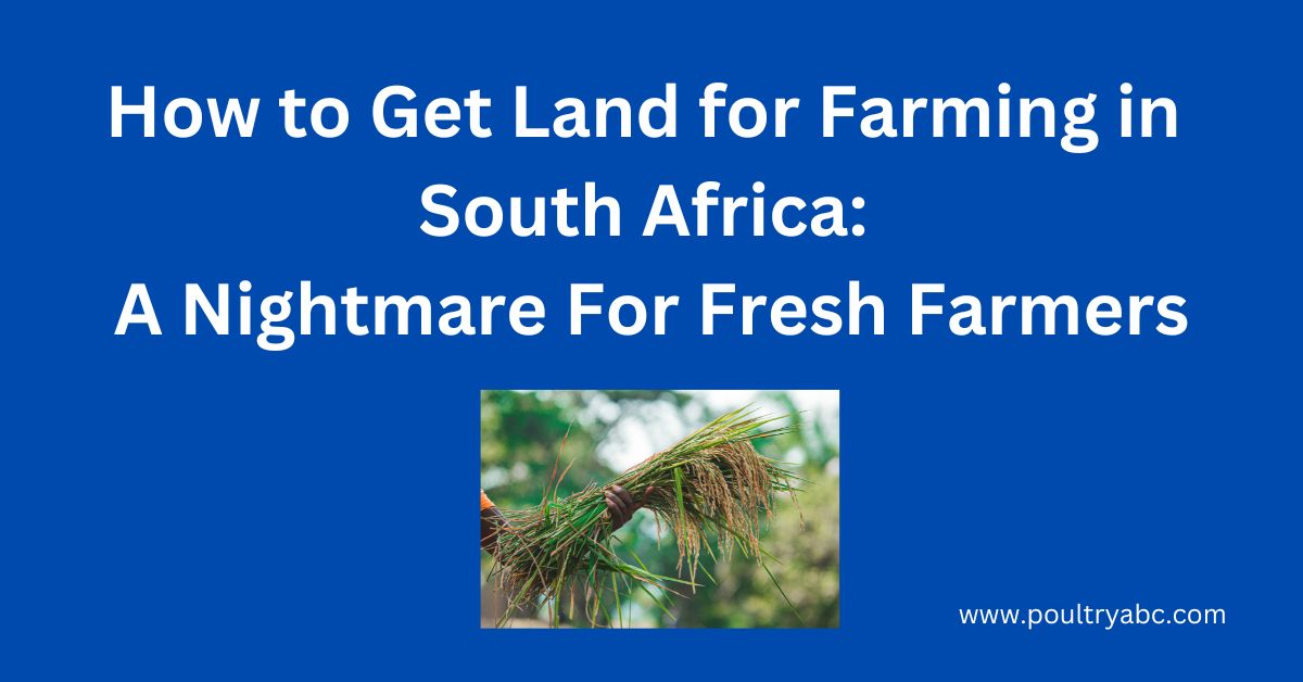 How to Get Land for Farming in South Africa A Nightmare