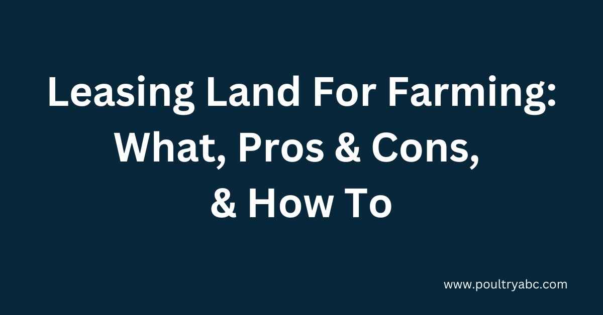 Farm Land For Lease In Texas What, Pros & Cons, & How To