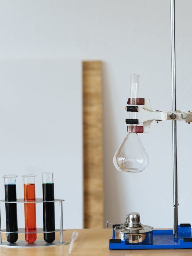 Best Soil pH Testers