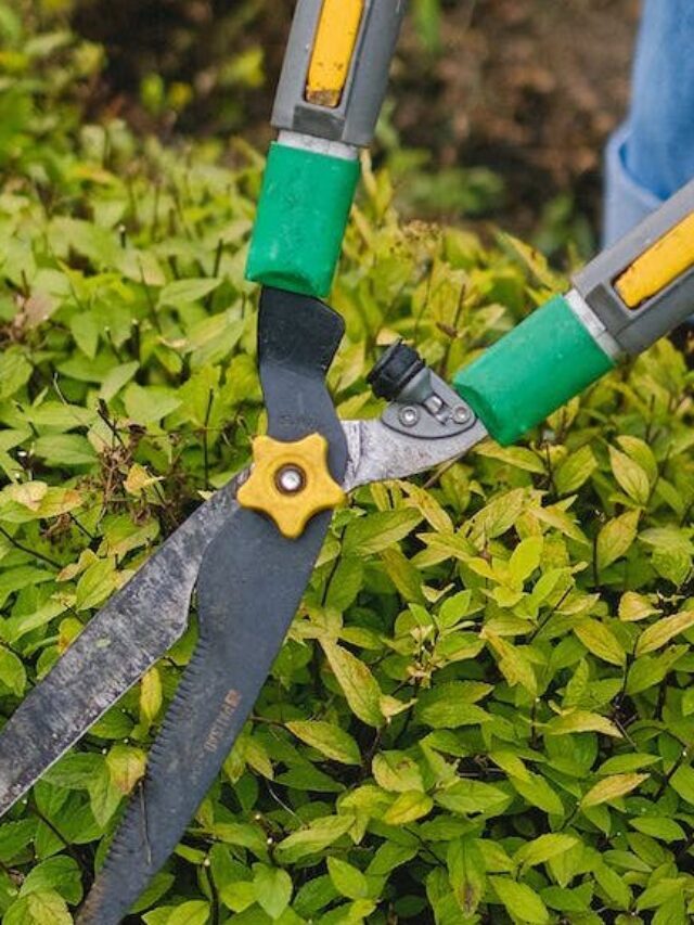 Garden tools names