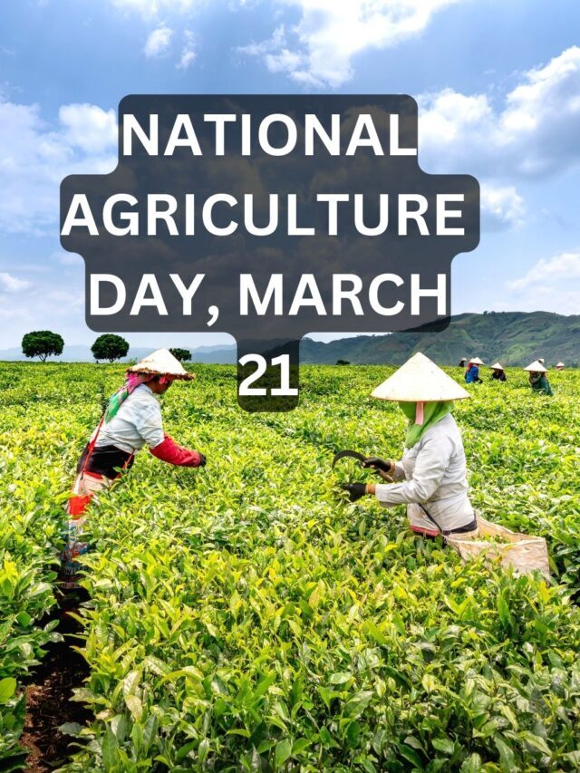 United States Observes National Agriculture Day