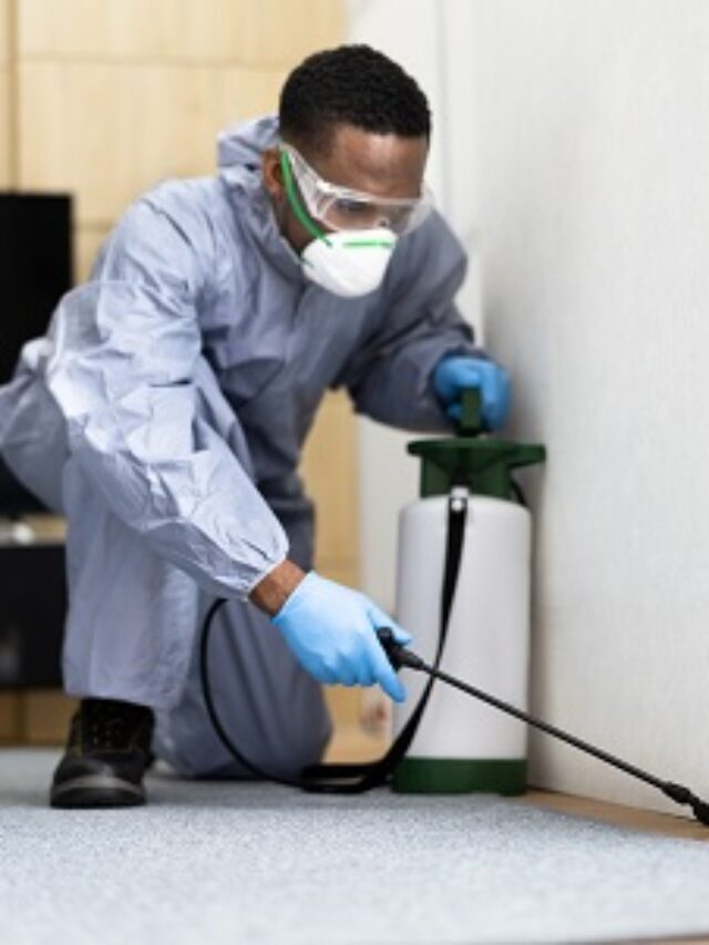 Pest Control Near Me