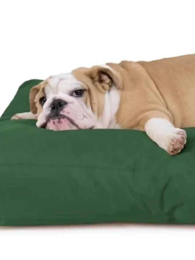 dog bed cover