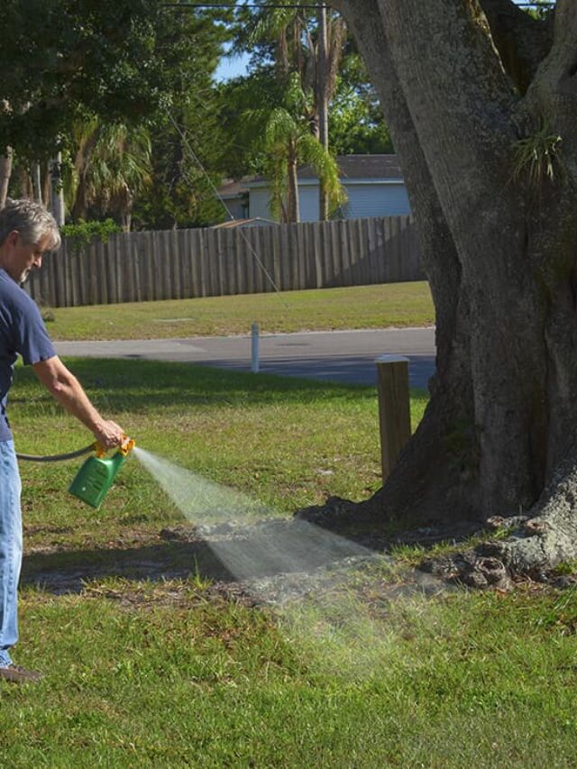 herbicide-that-kills-everything-but-bermuda