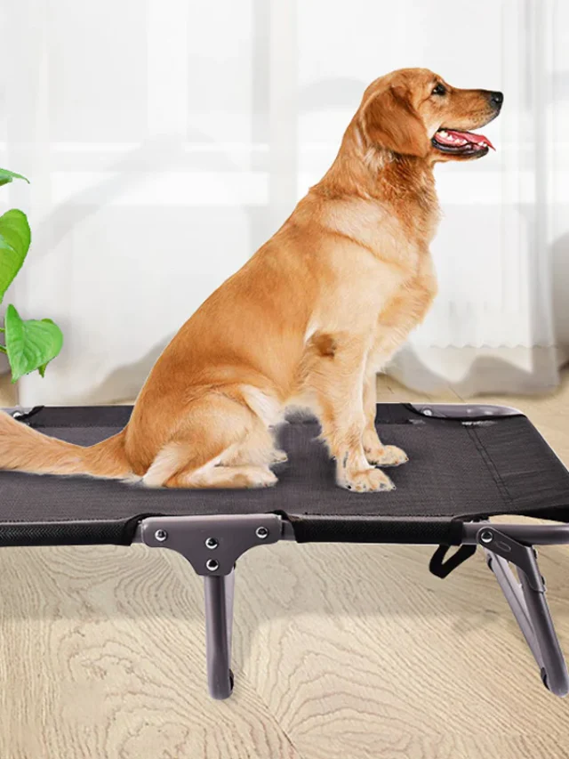 outdoor dog bed cover