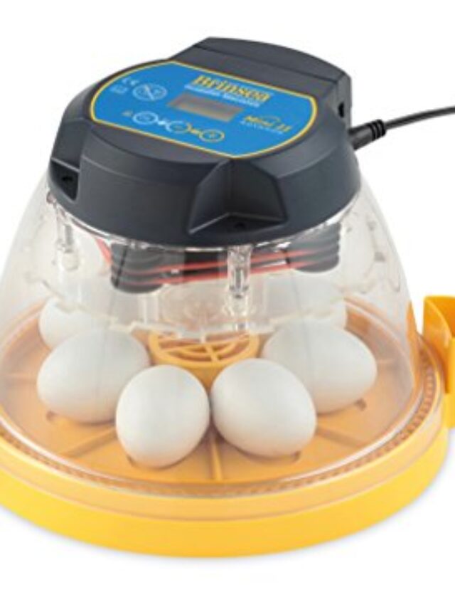 Brinsea Mini II Advance Automatic 7 Egg Incubator