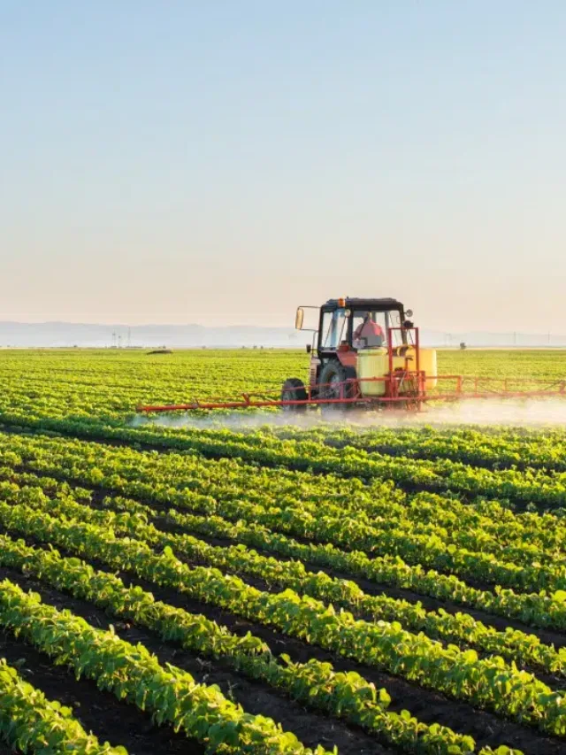 Intensive and Extensive Agriculture