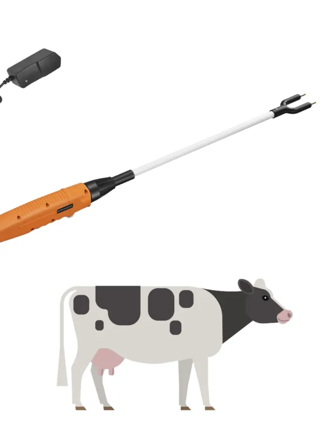 cattle prod4