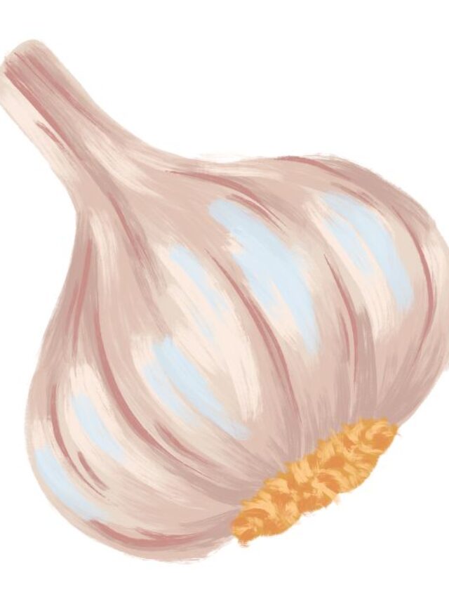 What is a clove of garlic